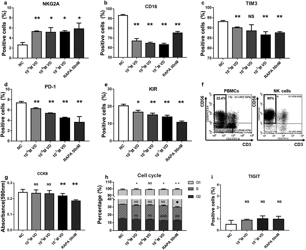 循环拉伸通过心房成纤维细胞中的 microRNA-208a 促进 microRNA-499 调节 Bcl-2