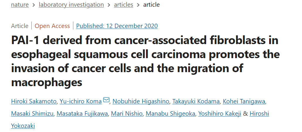 食管鳞状细胞癌中癌症相关成纤维细胞促进癌细胞侵袭和巨噬细胞迁移
