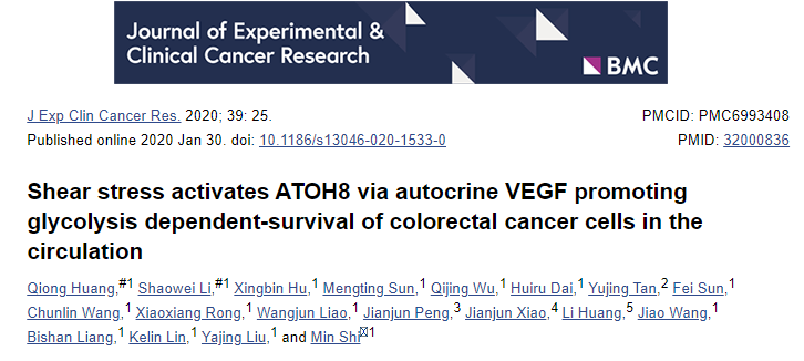 剪切应力通过自分泌 VEGF 激活 ATOH8，促进循环中结直肠癌细胞的糖酵解依赖性存活