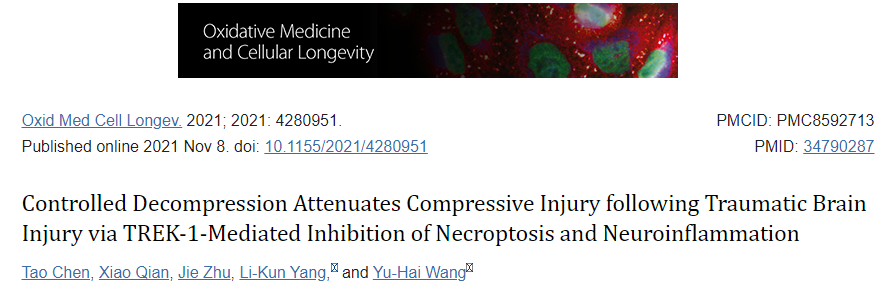 控制性减压通过 TREK-1 介导的细胞坏死和神经炎症的抑制减轻创伤性脑损伤后的压迫性损伤
