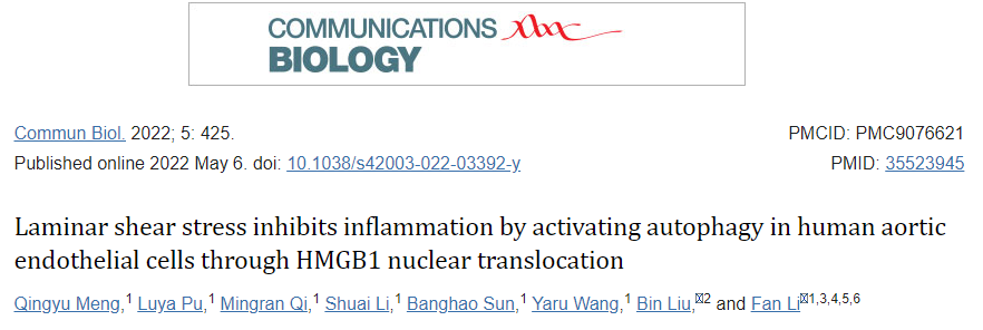 层流剪切应力通过 HMGB1 核转位激活人主动脉内皮细胞的自噬来抑制炎症