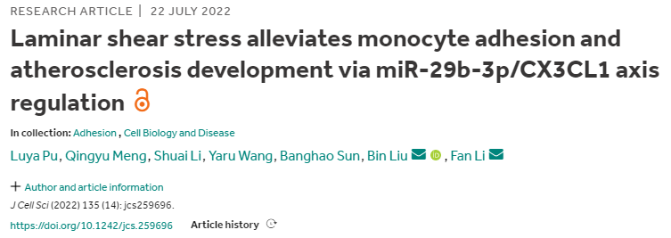 层流剪切应力通过 miR-29b-3p/CX3CL1 轴调控减轻单核细胞粘附和动脉粥样硬化的发展