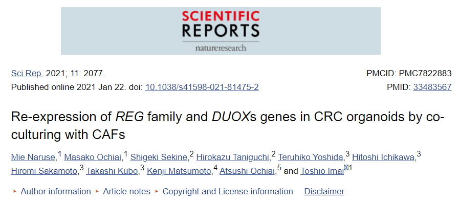 通过与 CAFs 共培养在 CRC 类器官中重新表达 REG 家族和 DUOXs 基因
