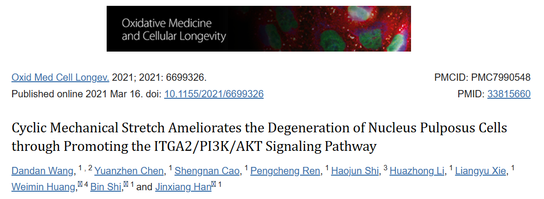 循环机械拉伸通过促进ITGA2/PI3K/AKT信号通路改善髓核细胞退变