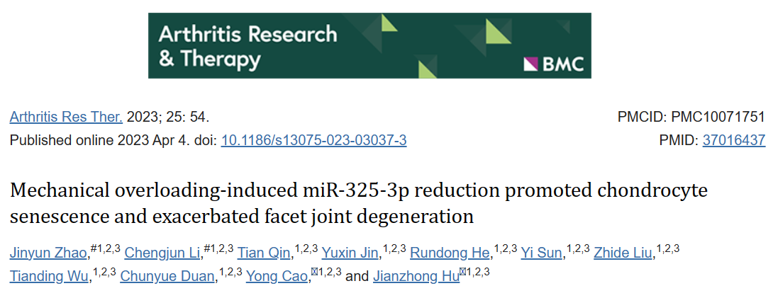 机械超负荷诱导的miR-325-3p降低促进软骨细胞衰老，加剧小关节退变