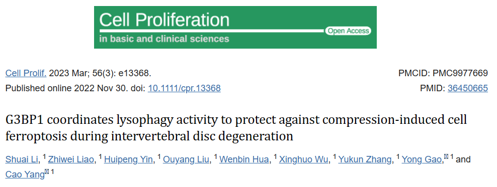 G3BP1协调溶酶体自噬活性，以防止椎间盘退变过程中压缩诱导的细胞铁死亡
