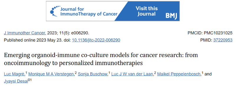 用于癌症研究的新兴类器官-免疫共培养模型：从肿瘤免疫学到个性化免疫疗法
