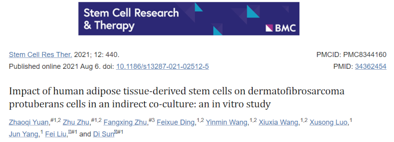 人脂肪来源干细胞对间接共培养中隆突性皮肤纤维肉瘤细胞的影响 人脂肪来源干细胞对间接共培养中隆突性皮肤纤维肉瘤细胞的影响