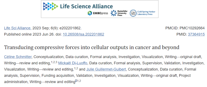 将压缩力转化为癌症及其他疾病的细胞输出
