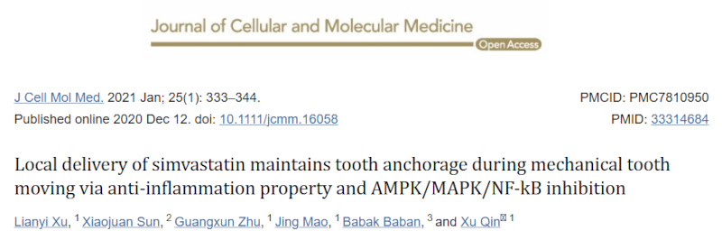 辛伐他汀的局部给药通过抗炎特性和 AMPK/MAPK/NF-kB 抑制在机械性牙齿移动过程中维持牙齿锚固