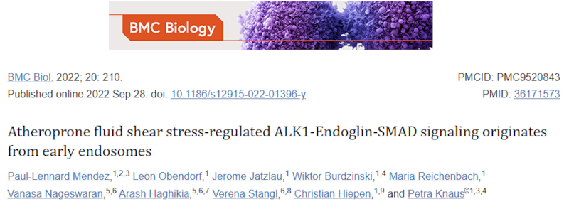 致动脉粥样硬化流体剪切应力调控的ALK1-Endoglin-SMAD信号通路起源于早期内体