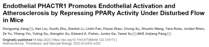内皮 PHACTR1 通过抑制小鼠血流紊乱下的 PPARγ 活性来促进内皮细胞活化和动脉粥样硬化