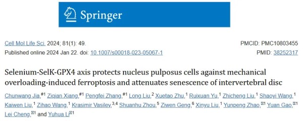 Selenium-SelK-GPX4 轴保护髓核细胞免受机械超负荷诱导的铁死亡并减缓椎间盘衰老