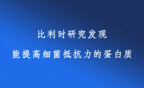 比利时研究发现能提高细菌抵抗力的蛋白质